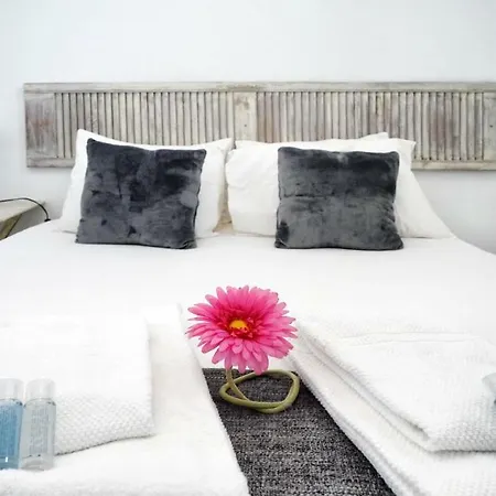 Apartamento Trendy Alcantara
